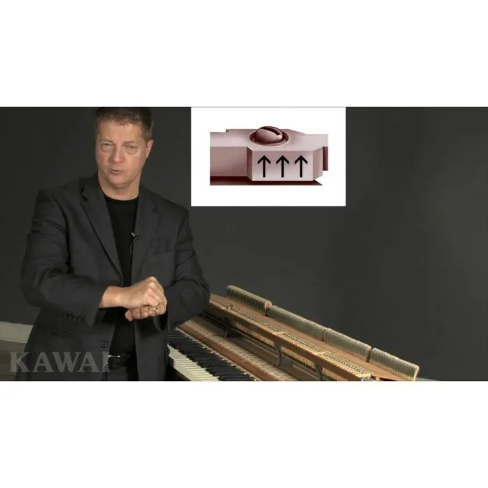 Comprar piano de cauda kawai gx-6 - 13